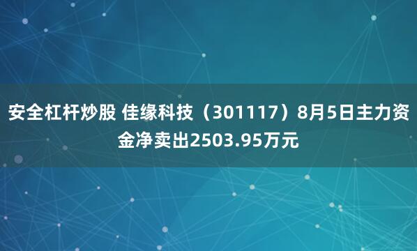安全杠杆炒股 佳缘科技（301117）8月5日主力资金净卖出2503.95万元
