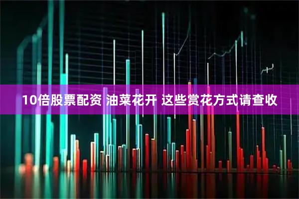 10倍股票配资 油菜花开 这些赏花方式请查收
